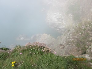 South Stack, Walia