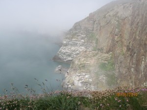 South Stack, Walia