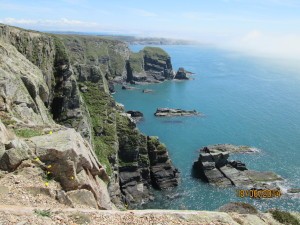 South Stack, Walia