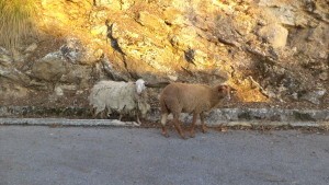 Sa Calobra, Majorka