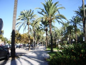 Palma de Mallorca