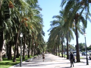 Palma de Mallorca