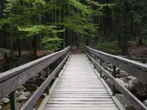 Harrachov, Czechy