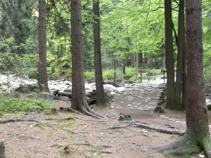 Harrachov, Czechy