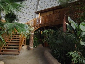 Tropical Island