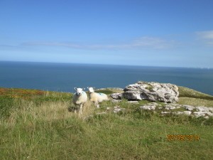 Llandudno, Walia