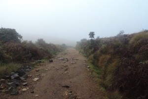 Horton Plains