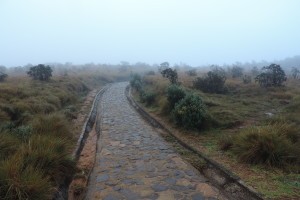 Horton Plains