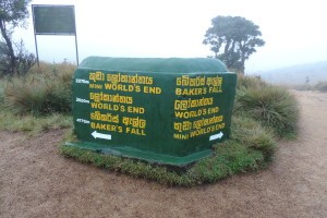 Horton Plains