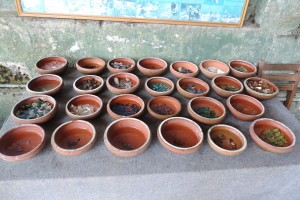 Obróbka kamieni szlachetnych, Galle