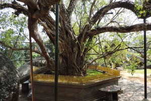 Yatagala Raja Maha Viharaya, Galle