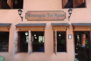 Fabryka herbaty w Handunugoda