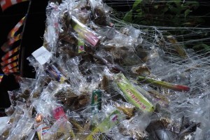 Wyprawa na Adam's Peak