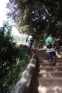 Wyprawa na Adam's Peak
