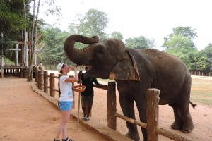 Pinnawala Elephant Orphanage