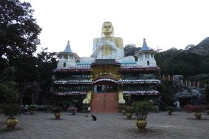 DSCN4693