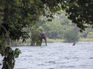 Minneriya National Park