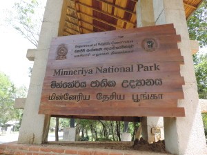 Minneriya National Park