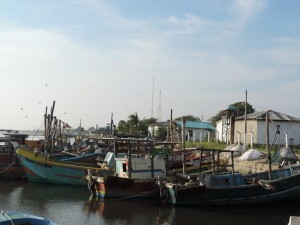 Jaffna