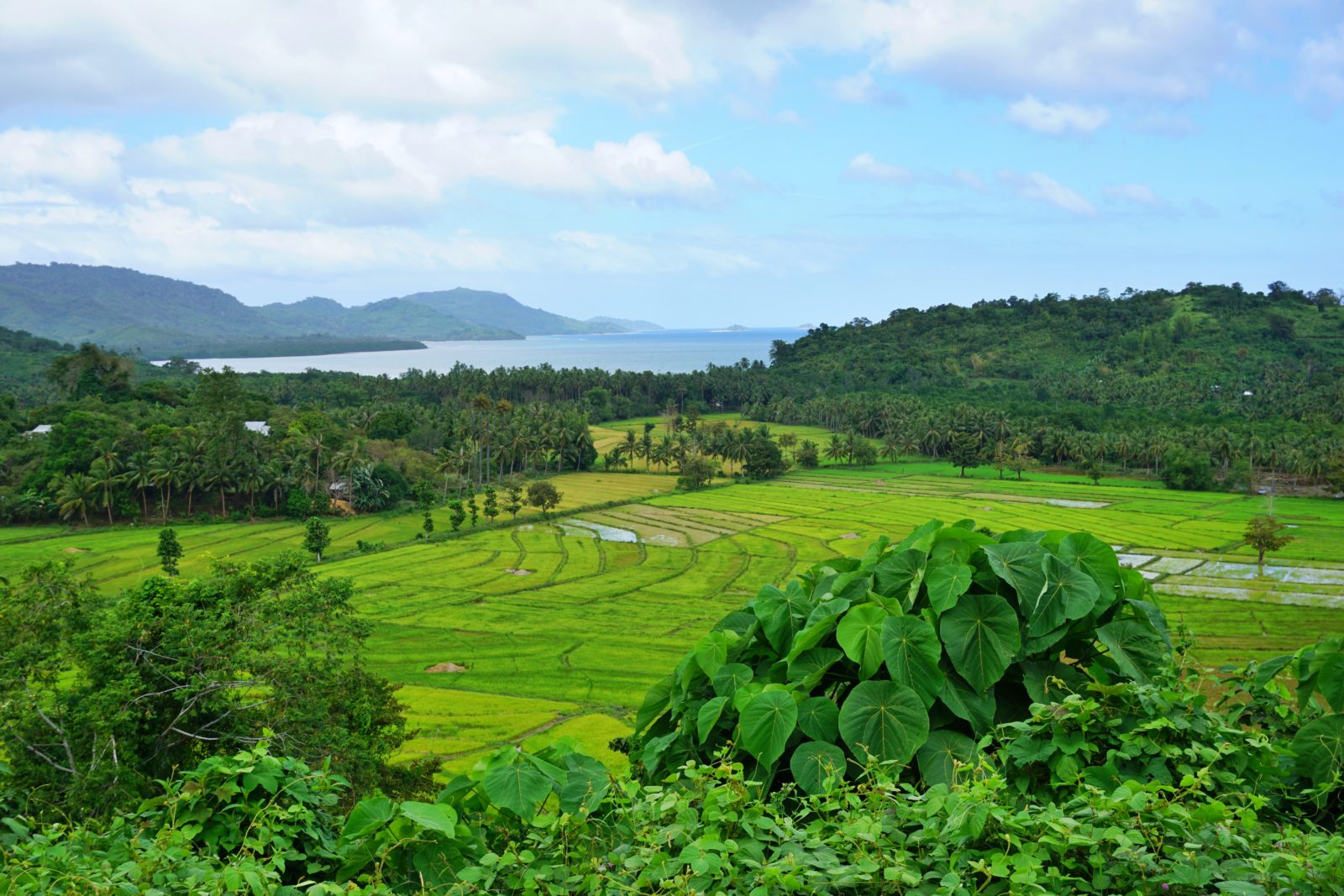 El Nido, Filipiny