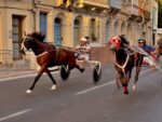 Wyścigi konne na Gozo – tradycja kontra dobrostan zwierząt